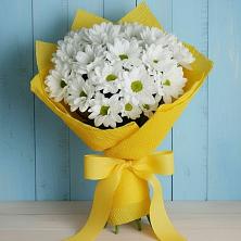 Букет цветов из:  Хризантемы в Тереньге